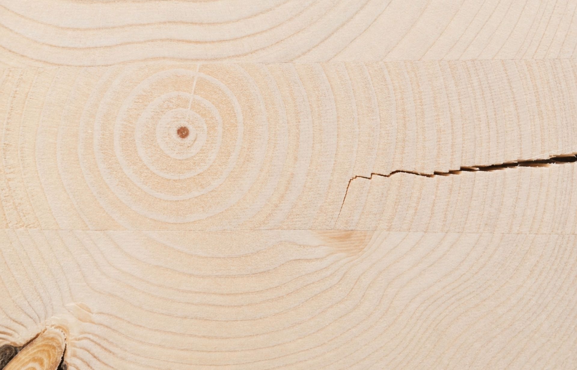 Naturalne pęknięcia w drewnie bali